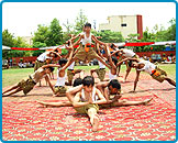 Annual Training Camp, 2009 - Arya Veer Dal Delhi Pradesh