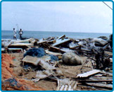 Arya Veer Dal Delhi Pradesh - Tamilnadu Tsunami, 2005 